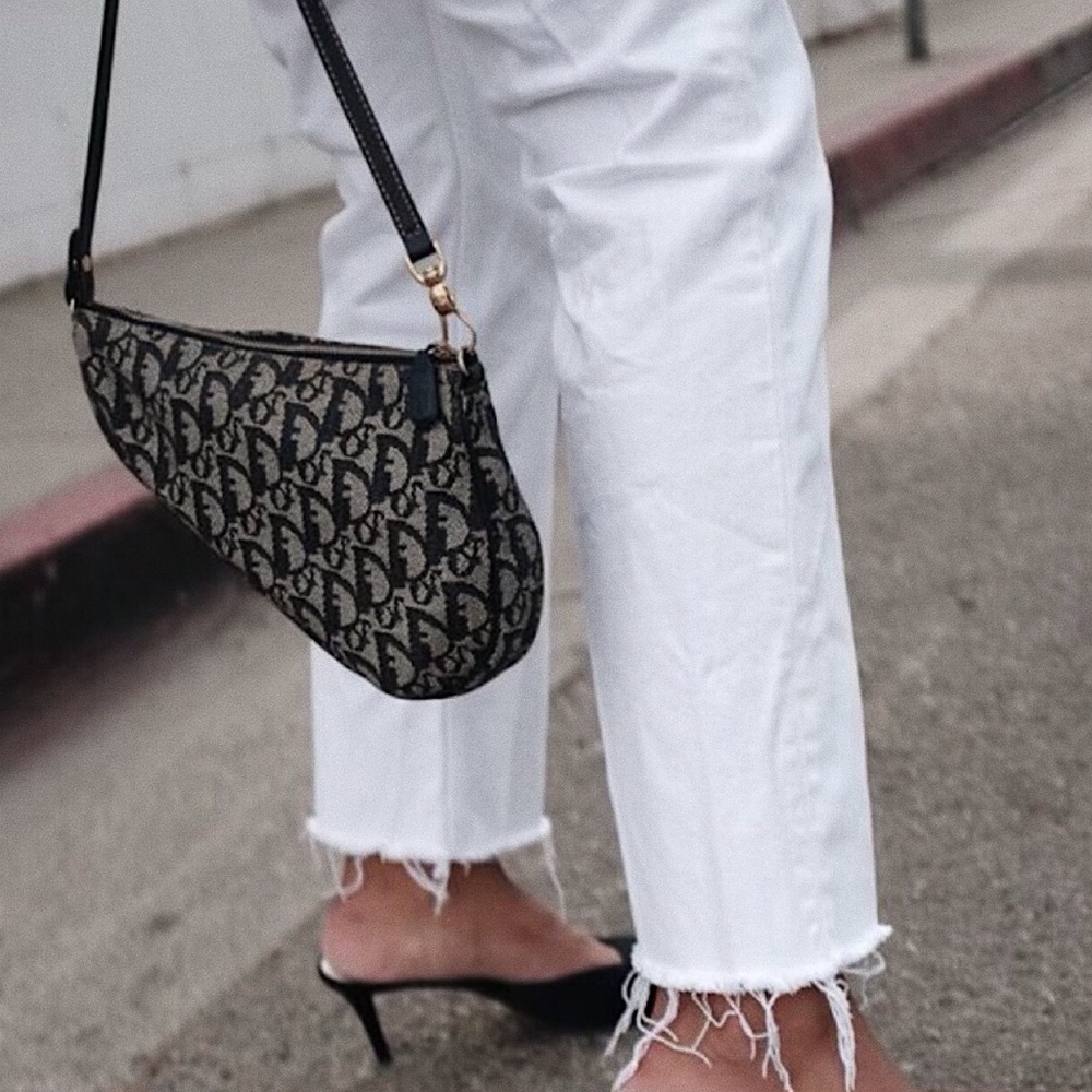 ISO | Dior Saddle Bag